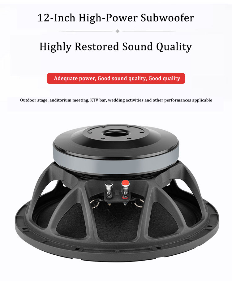 High-quality 12-inch High-powe - Quality Outdoor Power reseña y precio