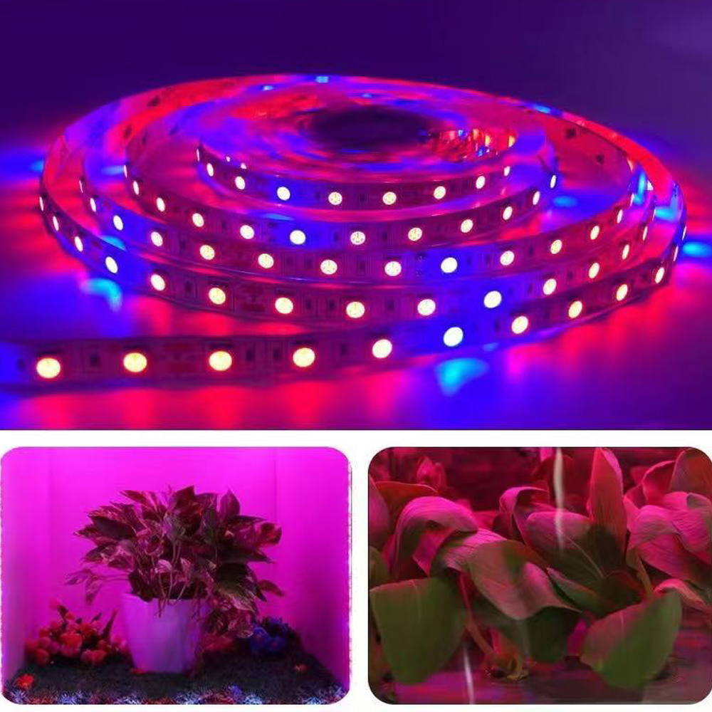20M LED Grow Light Spectrum DC - Outdoor Usb Power Strip reseña y precio