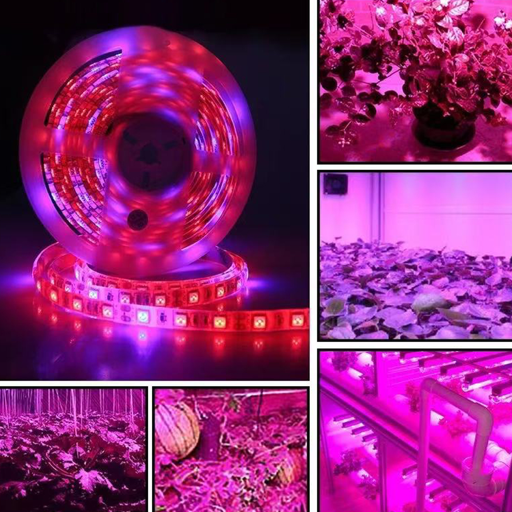 20M LED Grow Light Spectrum DC - Outdoor Usb Power Strip reseña y precio