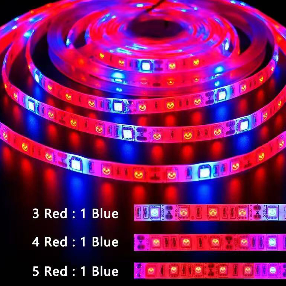 20M LED Grow Light Spectrum DC - Outdoor Usb Power Strip reseña y precio