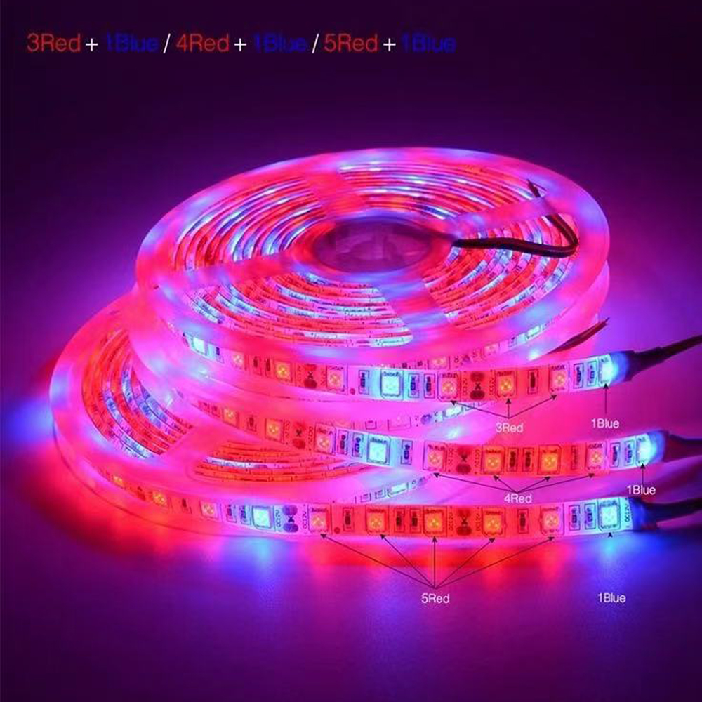 20M LED Grow Light Spectrum DC - Outdoor Usb Power Strip reseña y precio
